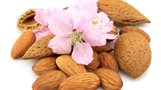 ALMOND TERAL™ (スウィートアーモンドオイル)