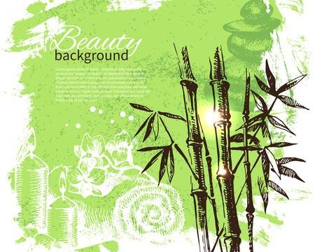 BAMBOO CHARBON™（オーガニック竹炭パウダー）