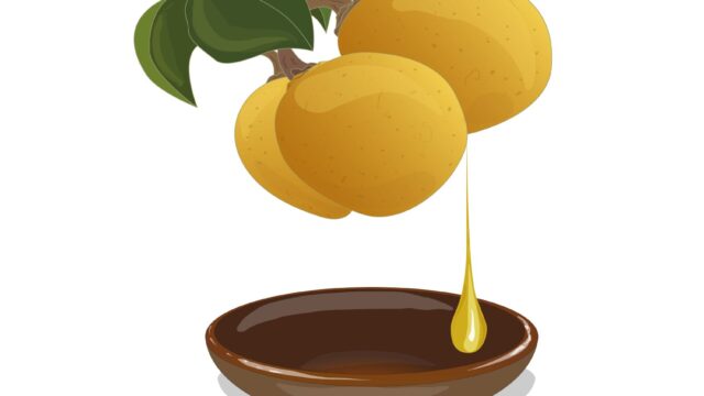 MARULA TERAL™ (マルラオイル)