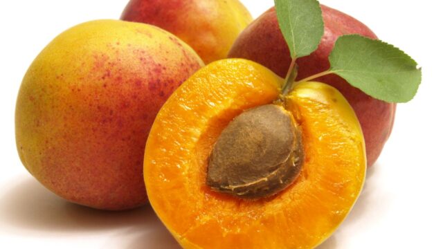 APRICOT TERAL™ (アプリコットオイル)