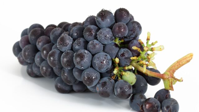 GRAPE TERAL™ (グレープシードオイル)