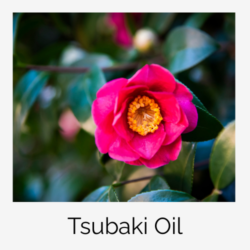 Tsubaki Oil